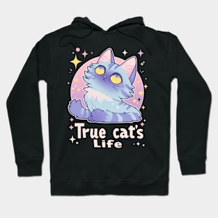 Lazy Cat 6806 Hoodie